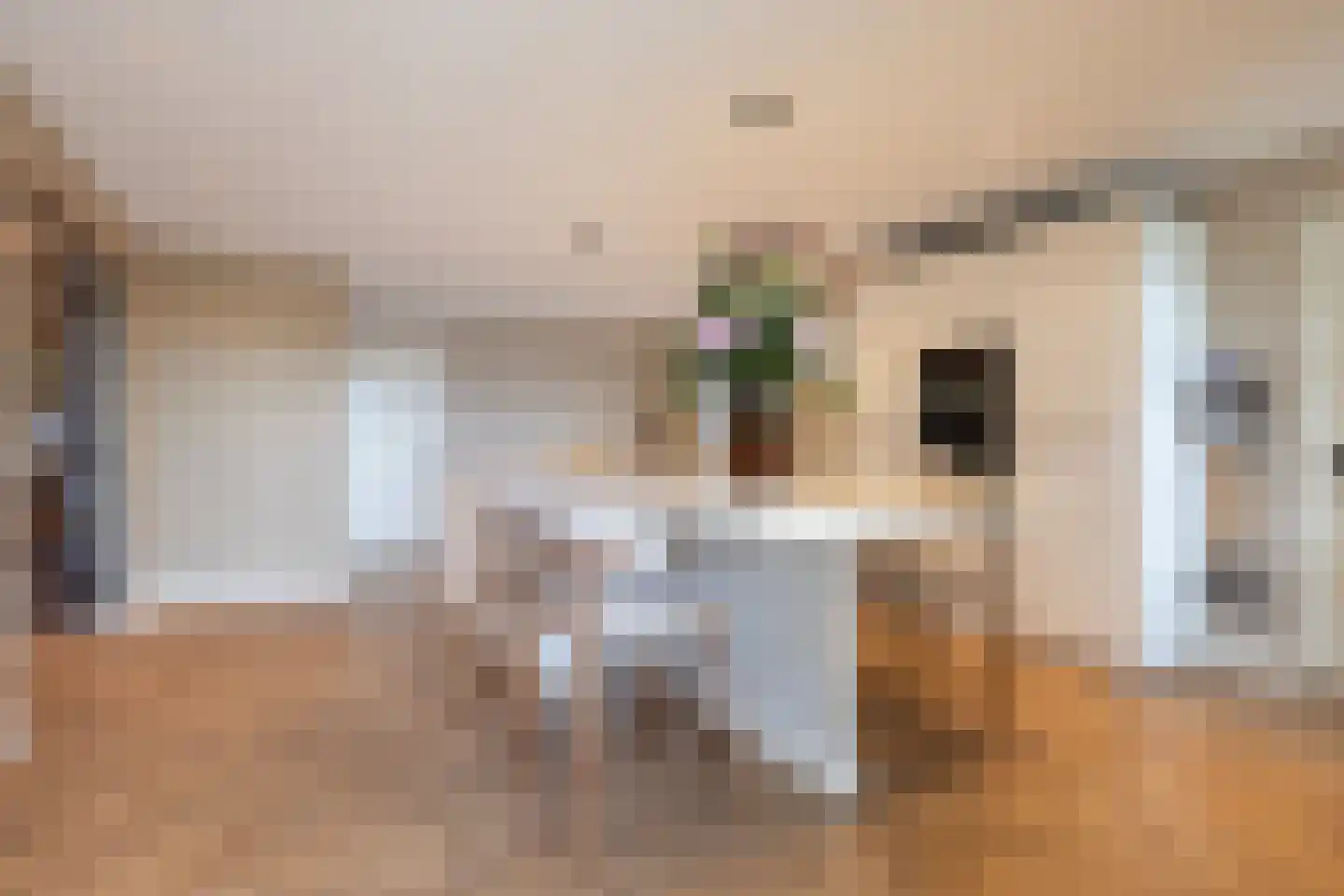 Raadhuislaan 22 Mijnsheerenland thumbnail 23