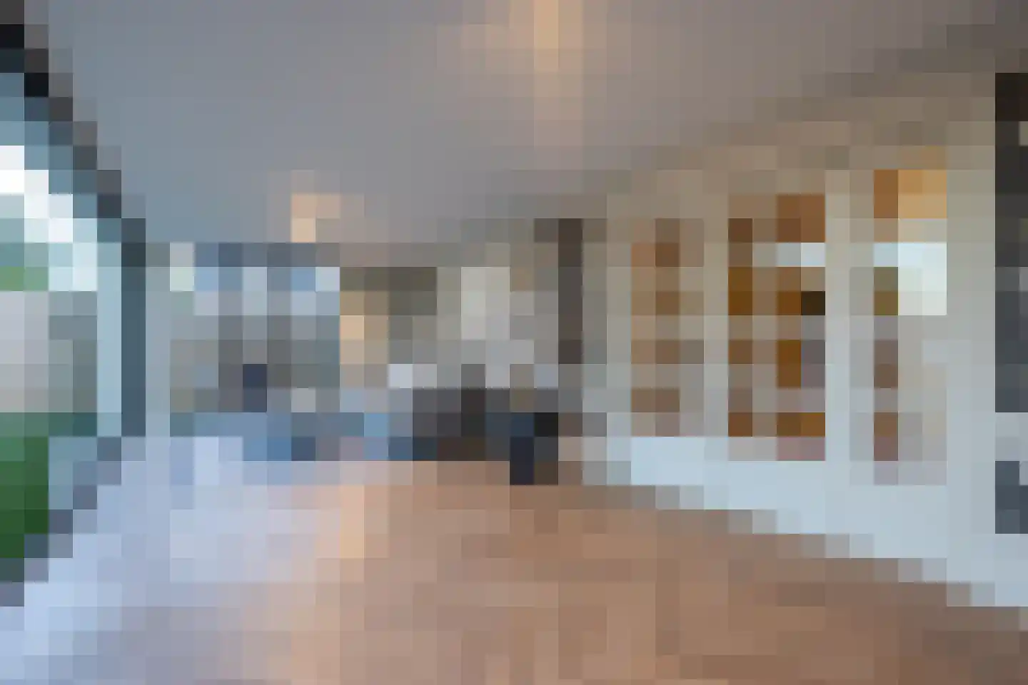 Raadhuislaan 22 Mijnsheerenland thumbnail 24