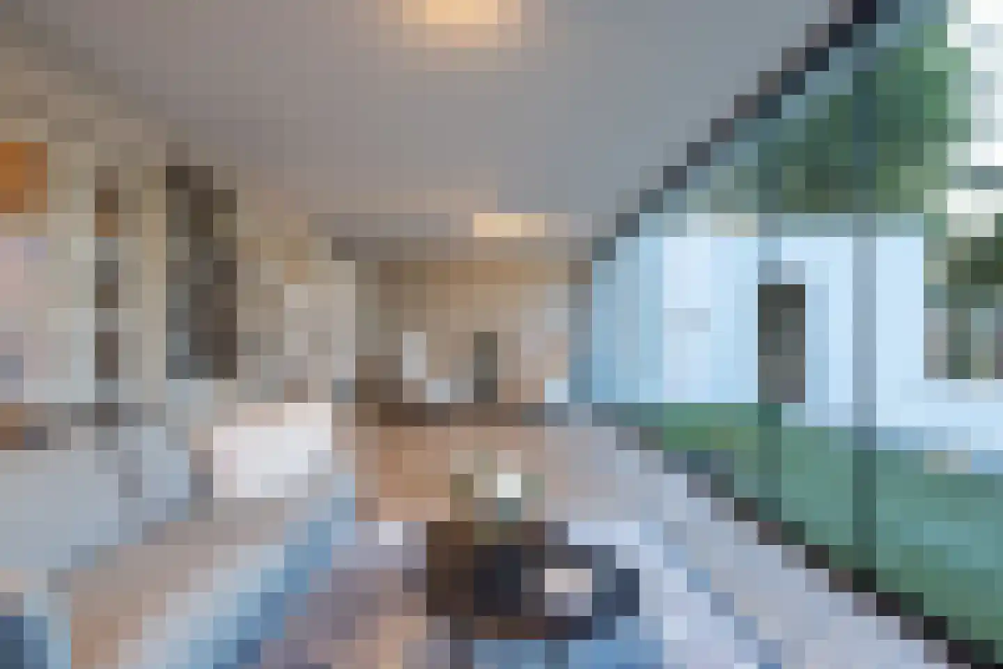 Raadhuislaan 22 Mijnsheerenland thumbnail 25