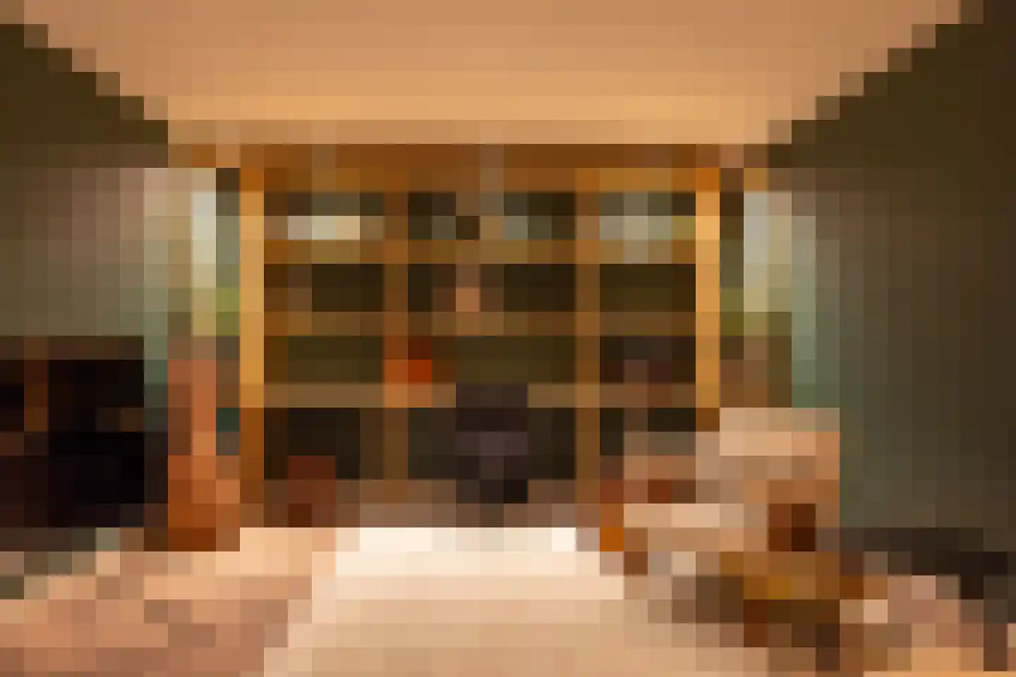 Raadhuislaan 22 Mijnsheerenland thumbnail 26