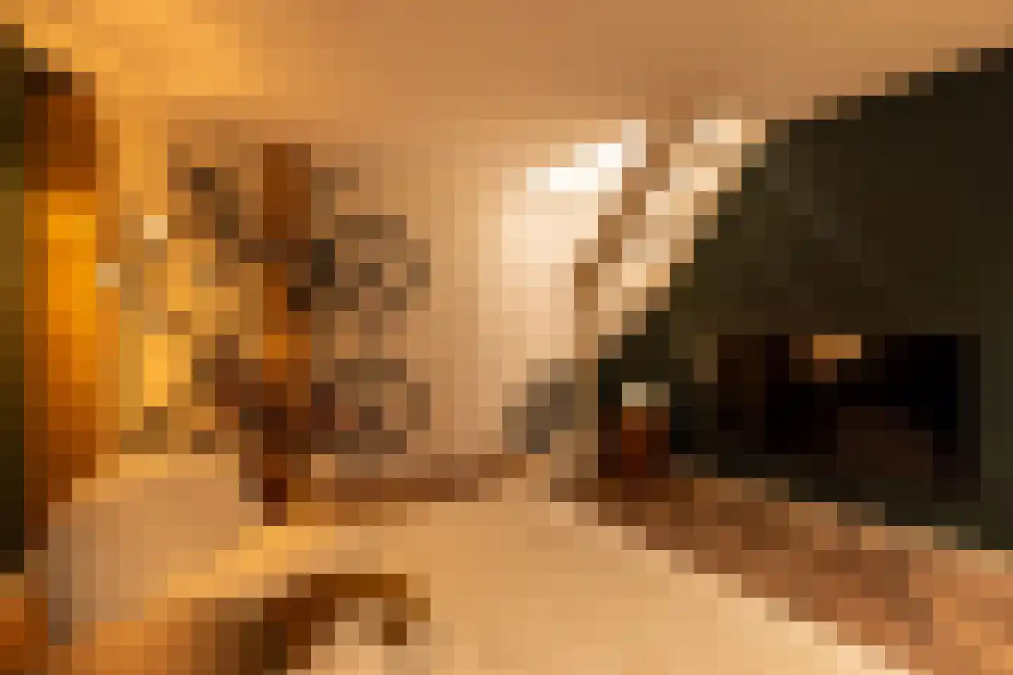 Raadhuislaan 22 Mijnsheerenland thumbnail 27