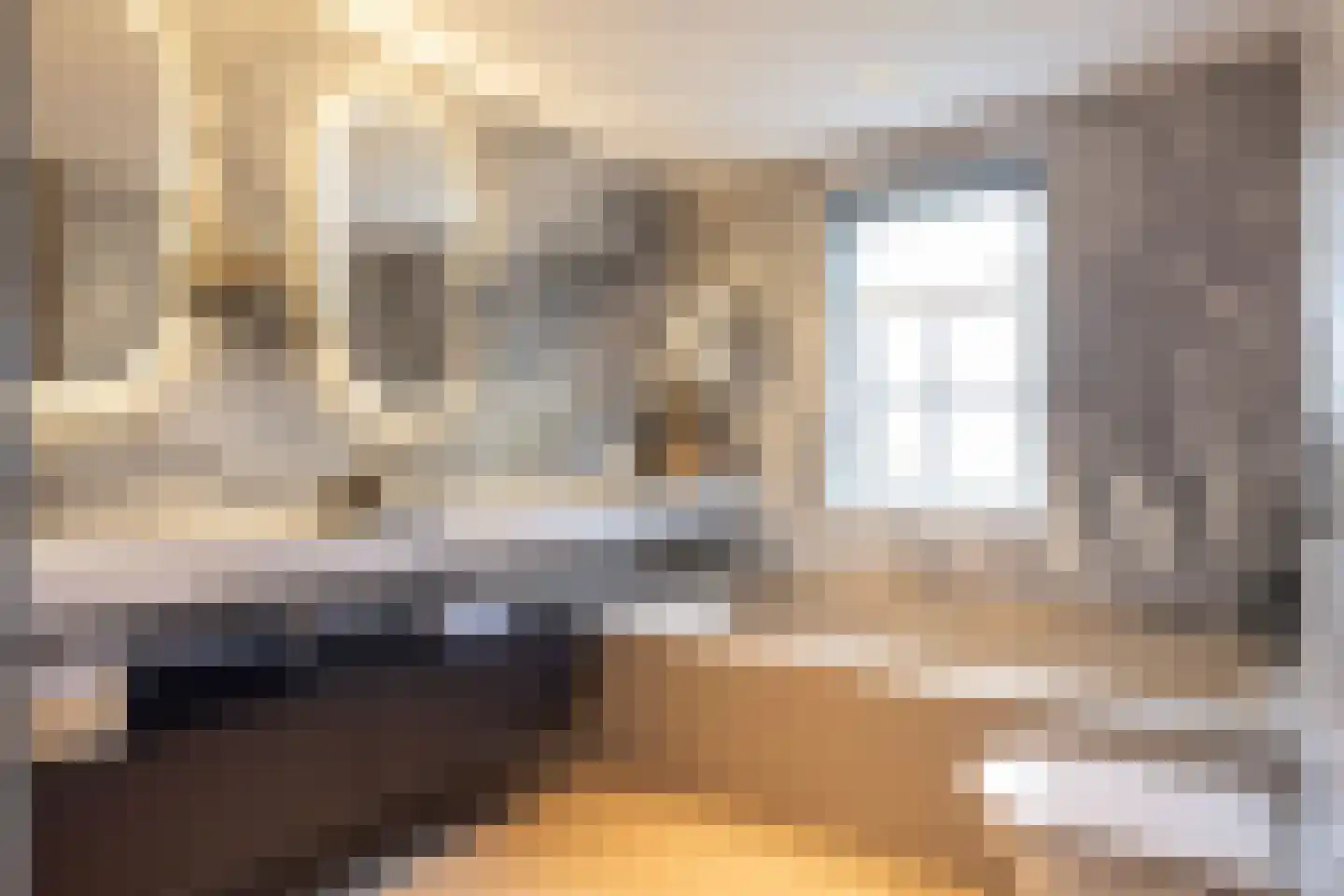Raadhuislaan 22 Mijnsheerenland thumbnail 29