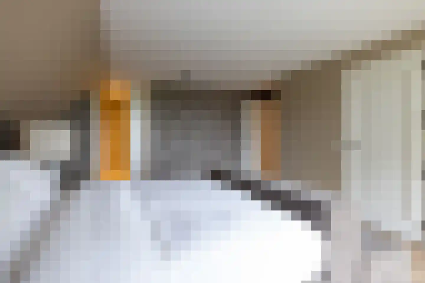 Raadhuislaan 22 Mijnsheerenland thumbnail 30