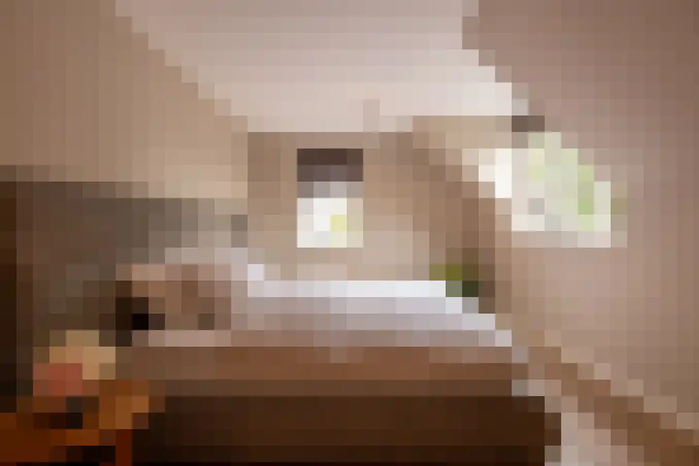 Raadhuislaan 22 Mijnsheerenland thumbnail 31