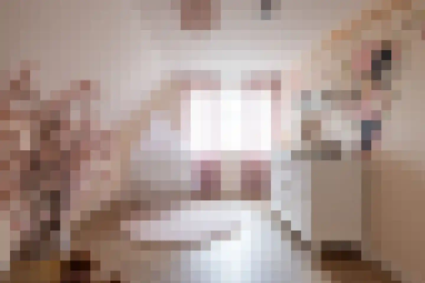 Raadhuislaan 22 Mijnsheerenland thumbnail 34