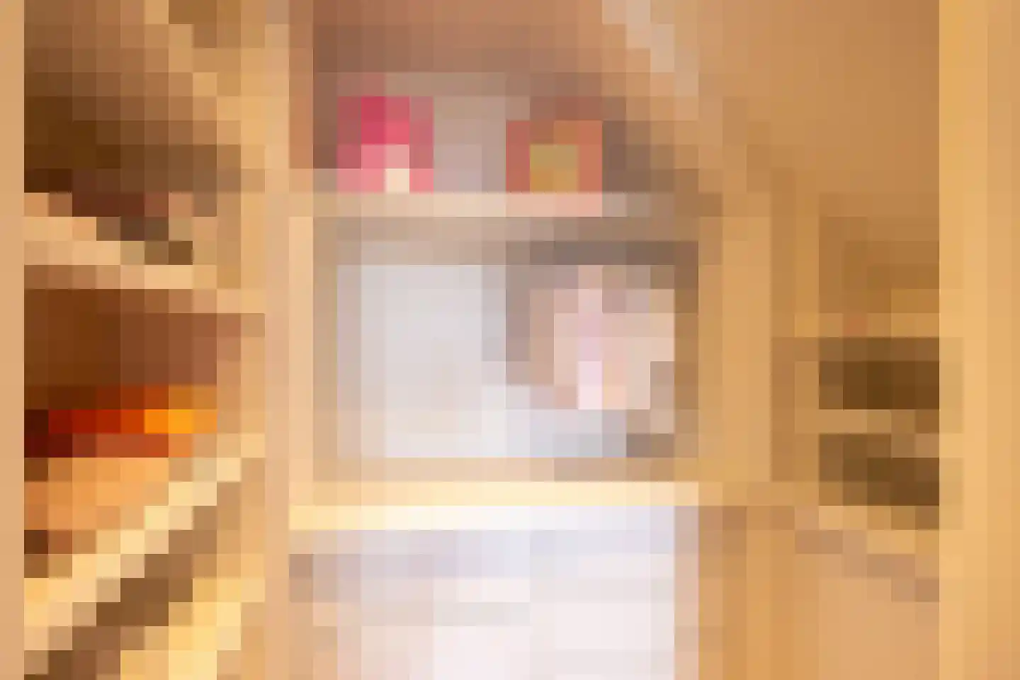 Raadhuislaan 22 Mijnsheerenland thumbnail 36