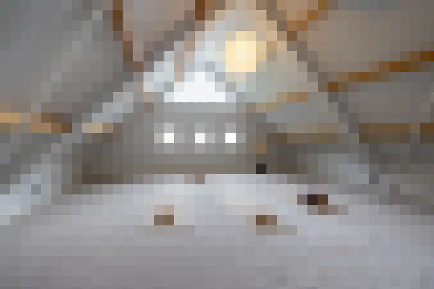 Raadhuislaan 22 Mijnsheerenland thumbnail 42