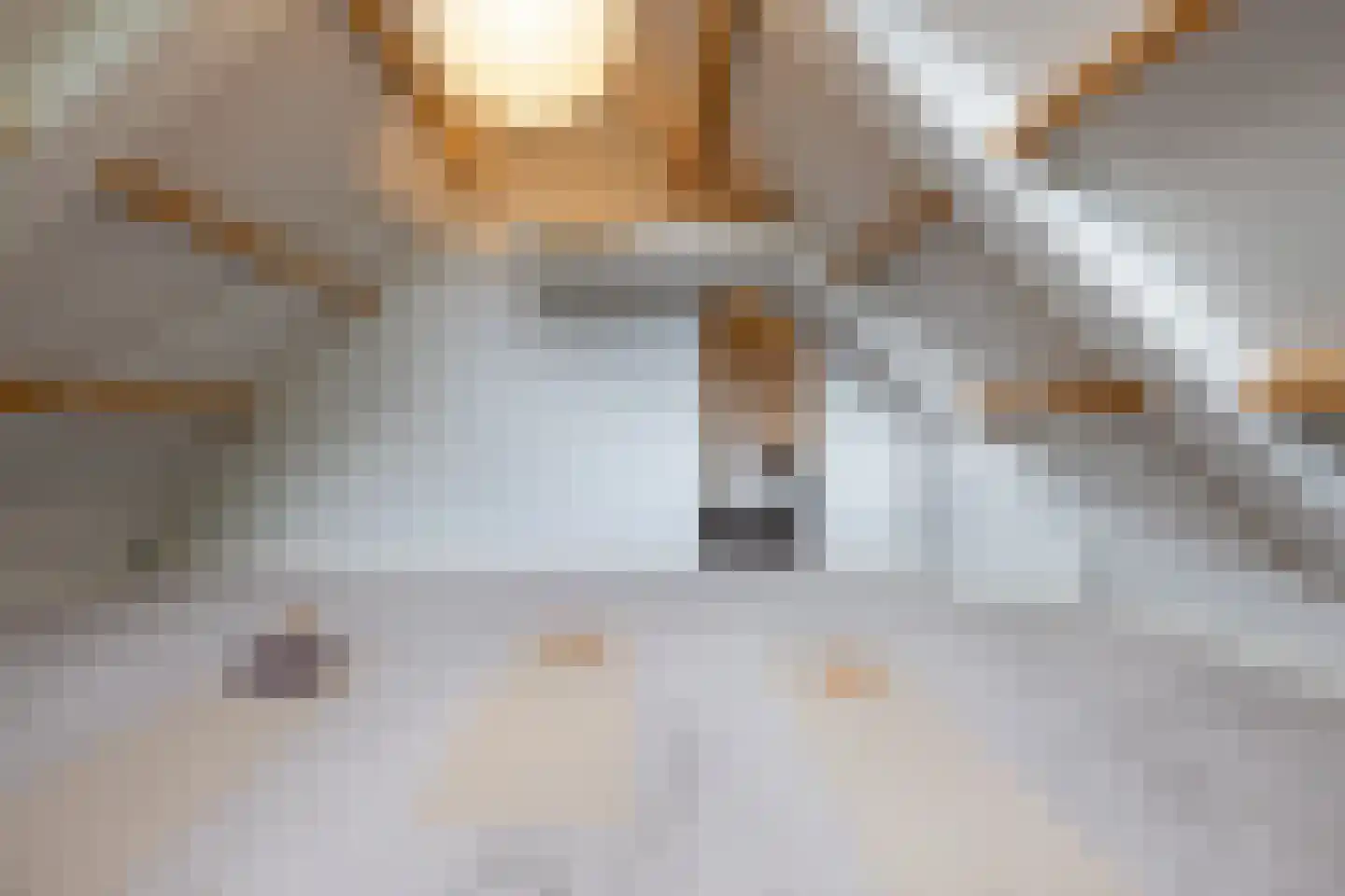 Raadhuislaan 22 Mijnsheerenland thumbnail 43