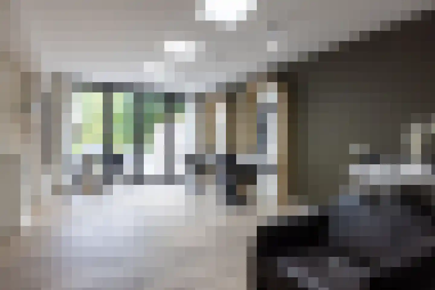 Raadhuislaan 22 Mijnsheerenland thumbnail 44