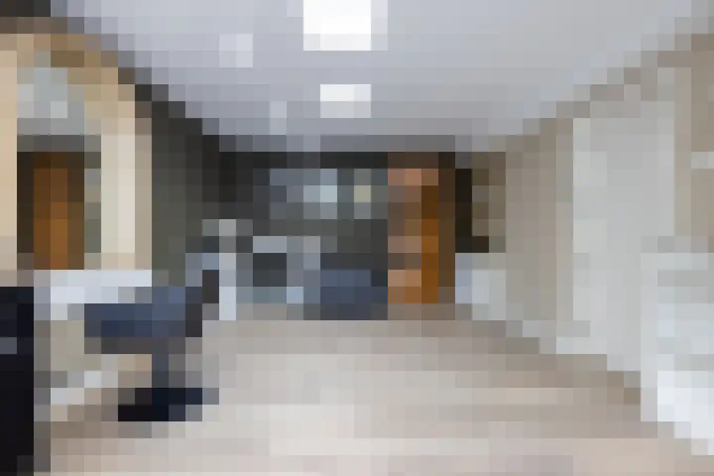 Raadhuislaan 22 Mijnsheerenland thumbnail 45