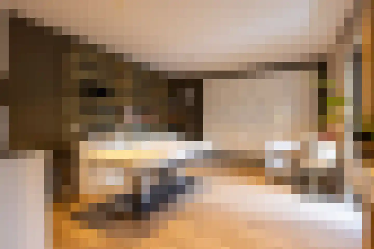 Raadhuislaan 22 Mijnsheerenland thumbnail 46