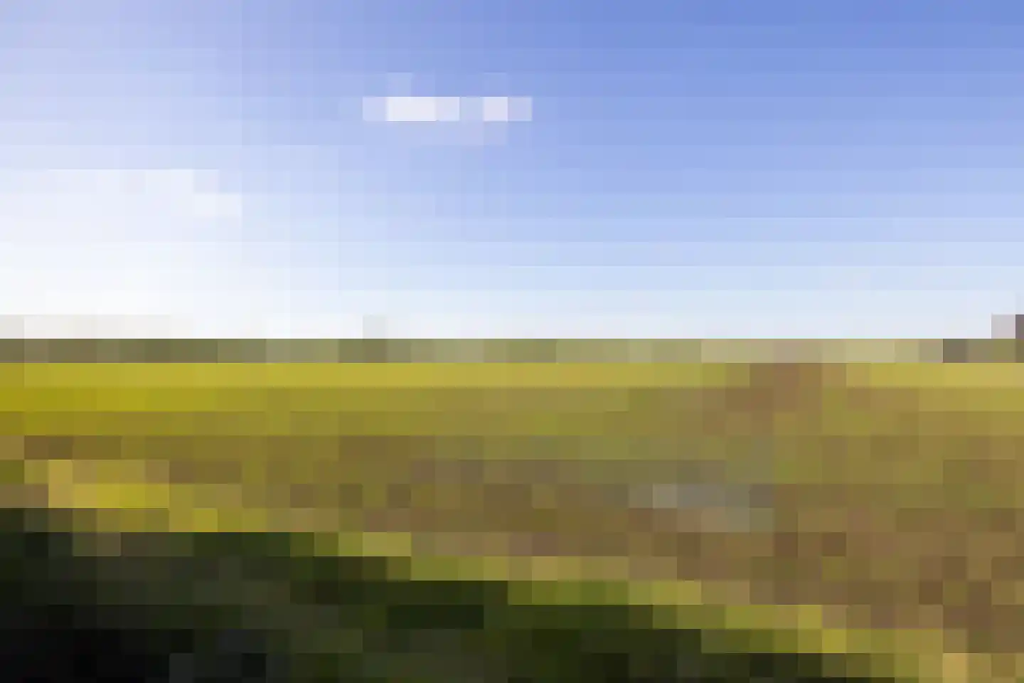 Raadhuislaan 22 Mijnsheerenland thumbnail 50