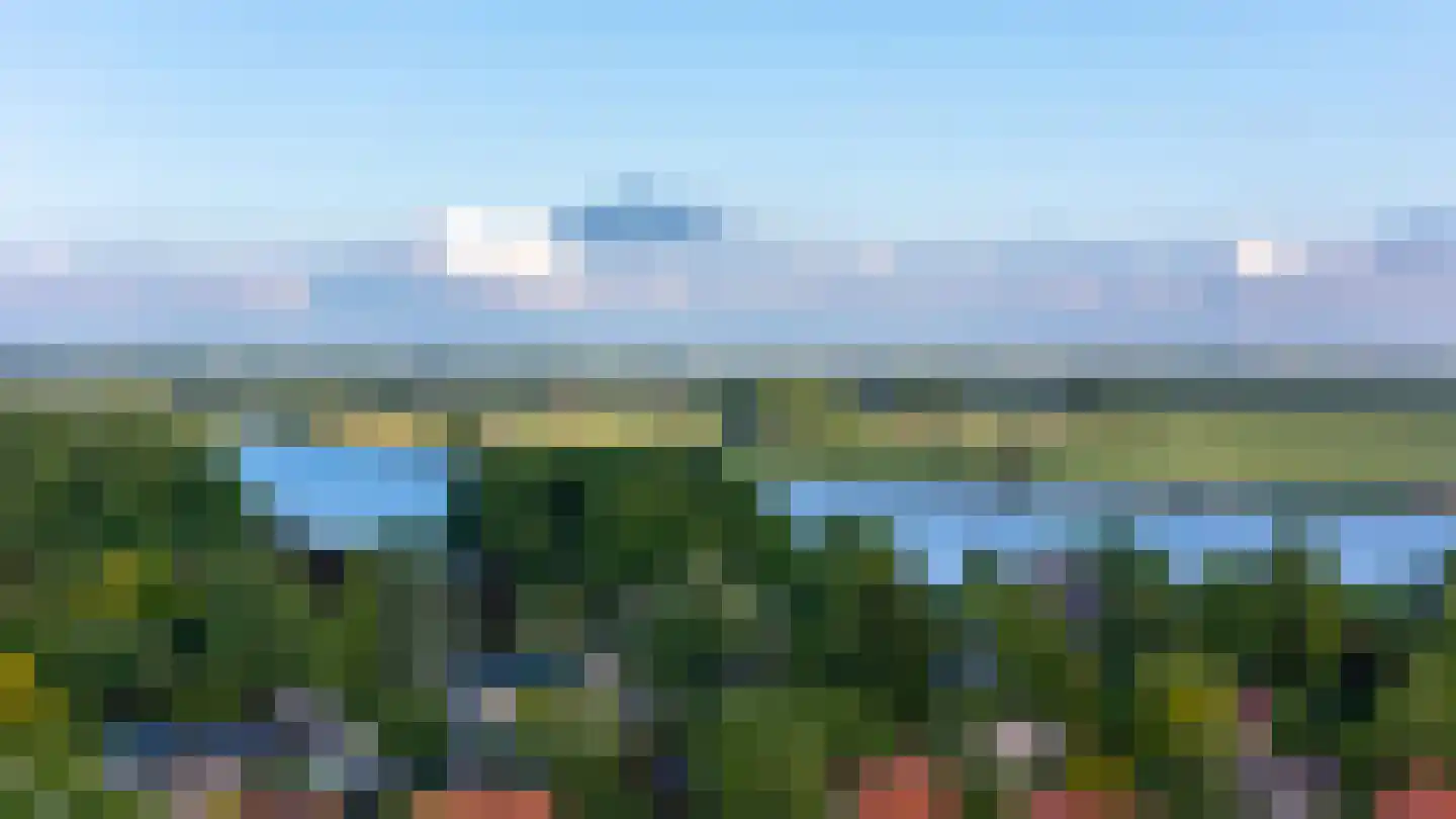 Raadhuislaan 22 Mijnsheerenland thumbnail 57