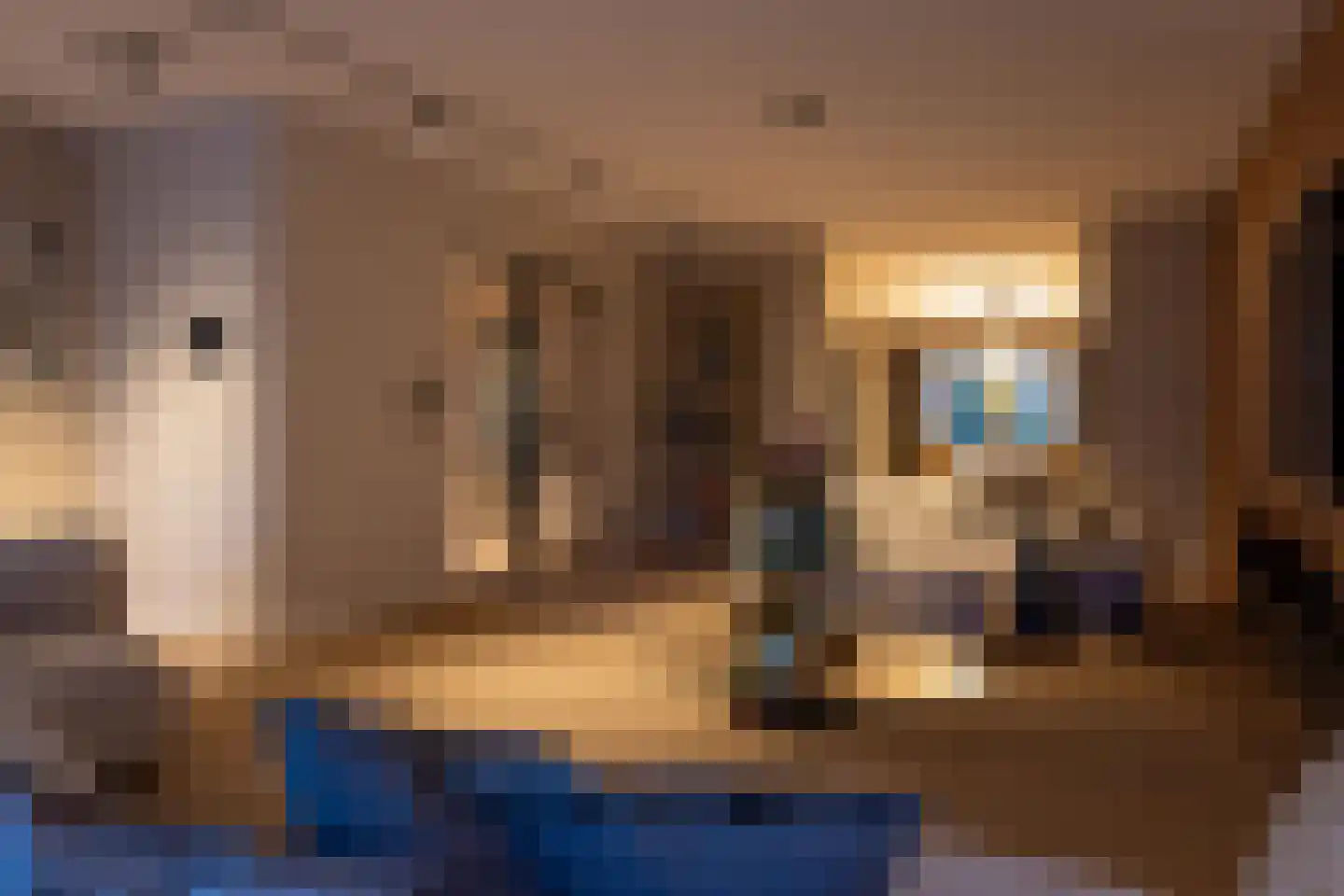 Raadhuislaan 22 Mijnsheerenland thumbnail 64