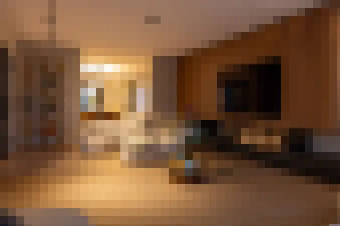 Raadhuislaan 22 Mijnsheerenland thumbnail 65