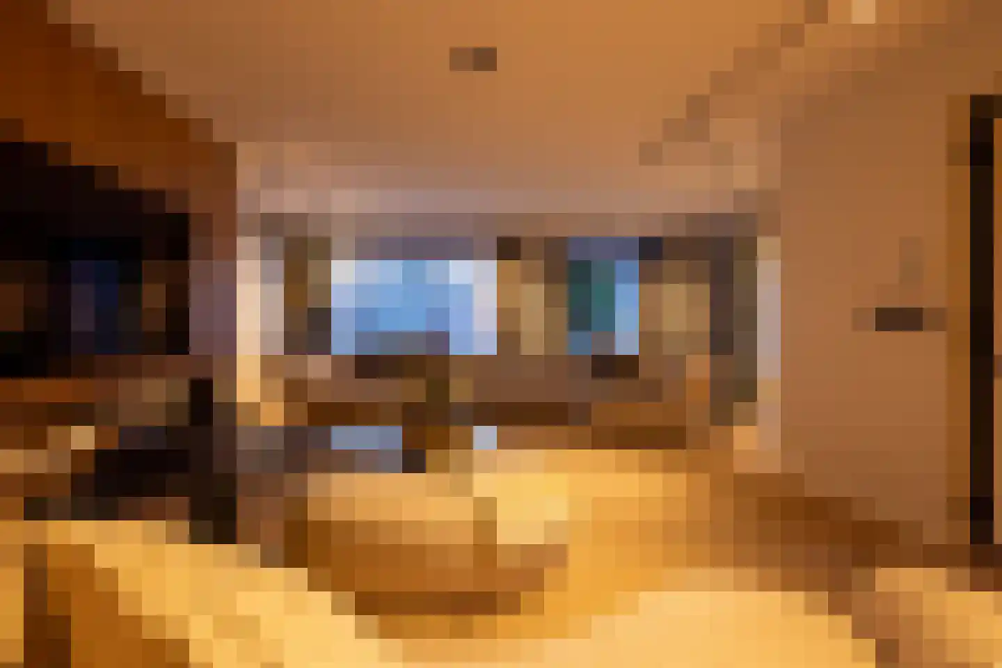 Raadhuislaan 22 Mijnsheerenland thumbnail 66