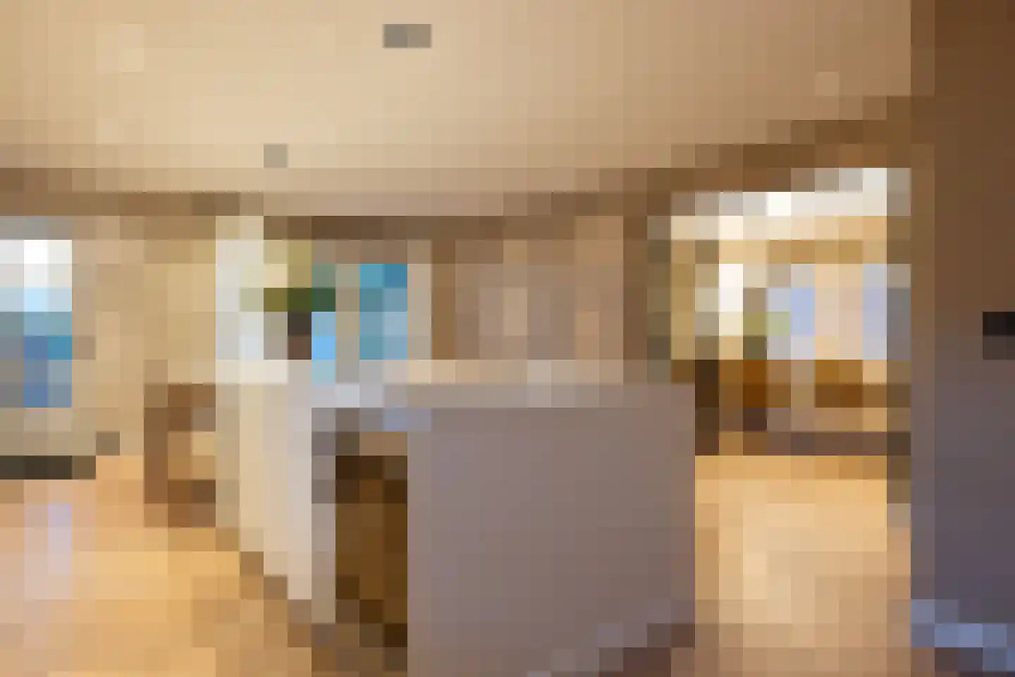Raadhuislaan 22 Mijnsheerenland thumbnail 67