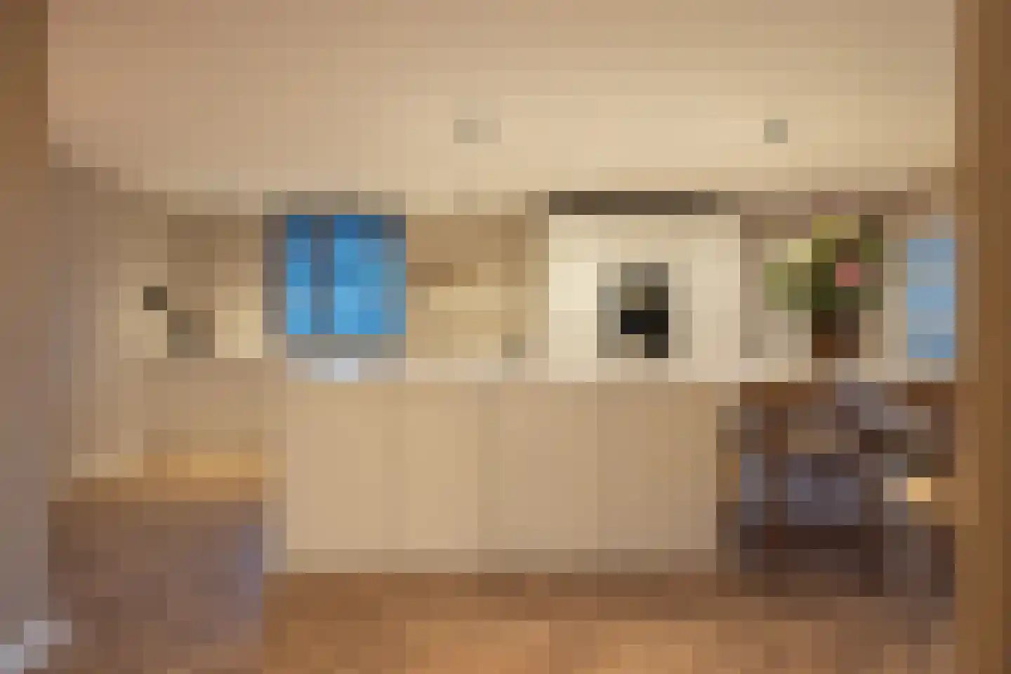 Raadhuislaan 22 Mijnsheerenland thumbnail 68