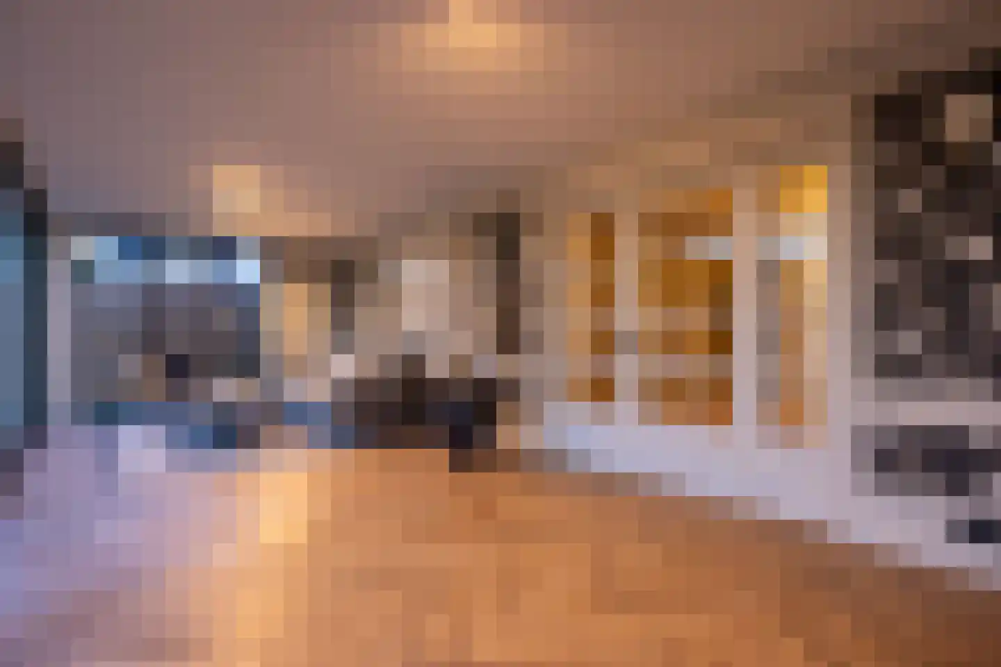 Raadhuislaan 22 Mijnsheerenland thumbnail 73