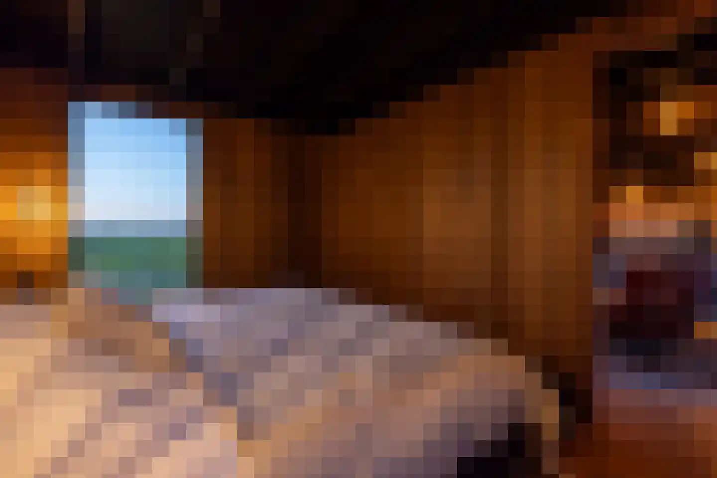 Raadhuislaan 22 Mijnsheerenland thumbnail 76