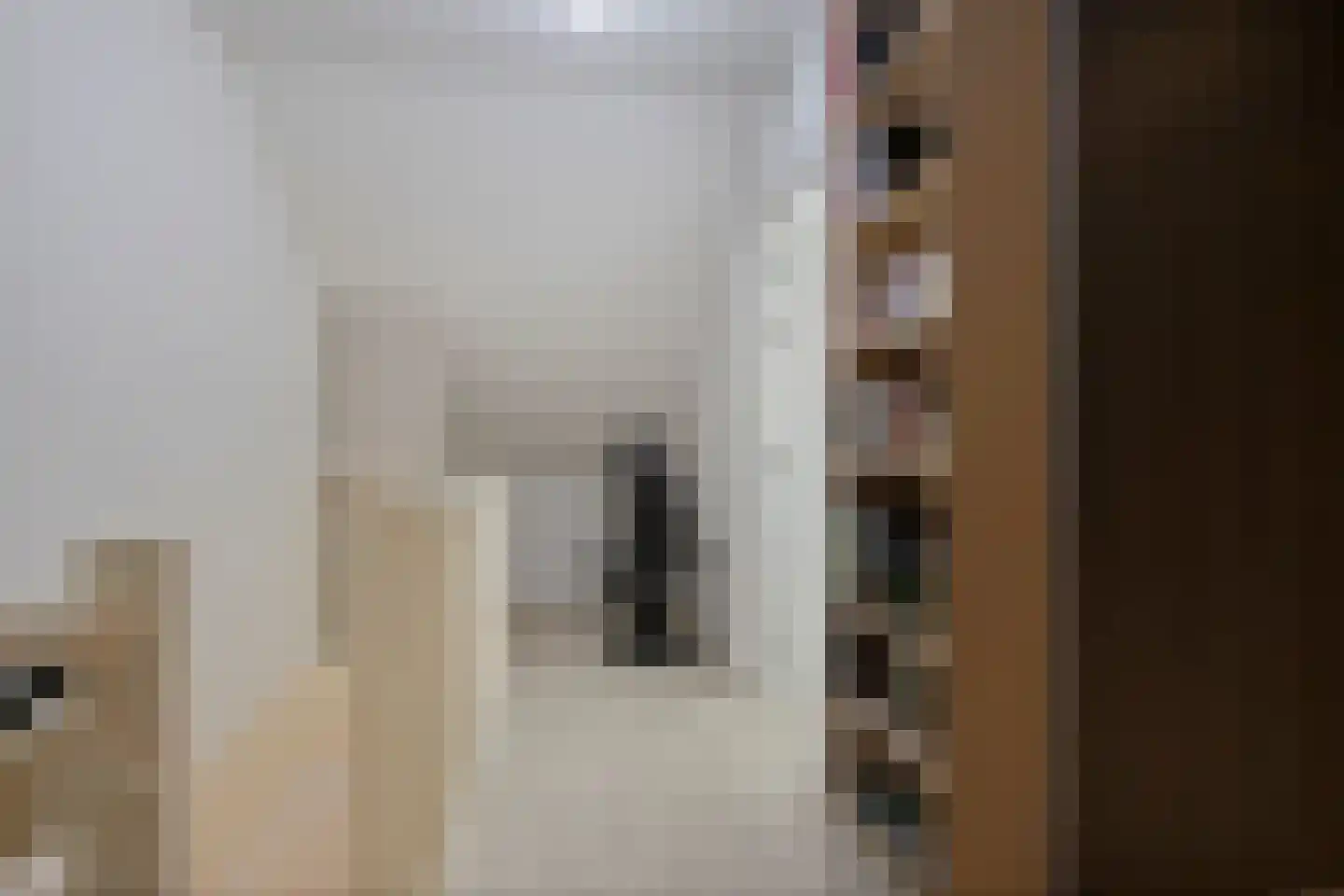 Raadhuislaan 29 Diever thumbnail 23
