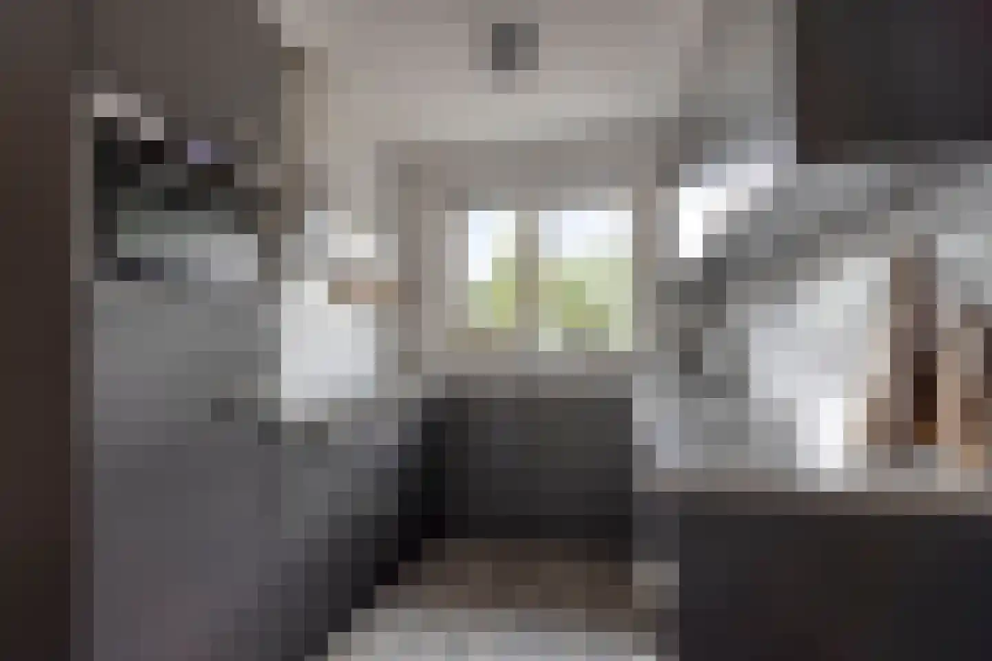 Raadhuislaan 29 Diever thumbnail 9