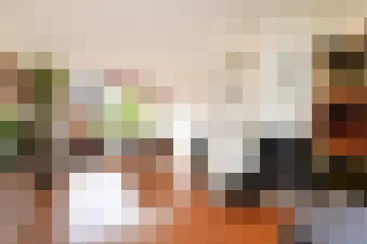 Raadhuislaan 32 Berkel en Rodenrijs thumbnail 15