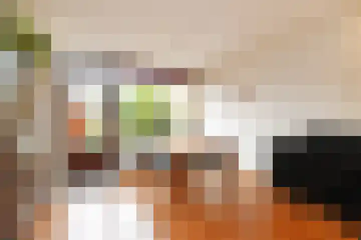 Raadhuislaan 32 Berkel en Rodenrijs thumbnail 16