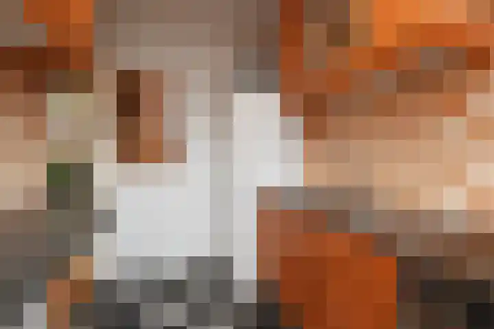 Raadhuislaan 32 Berkel en Rodenrijs thumbnail 19