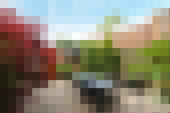 Raadhuislaan 32 Berkel en Rodenrijs thumbnail 20