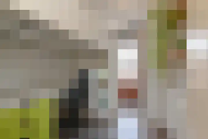 Raadhuislaan 32 Berkel en Rodenrijs thumbnail 30