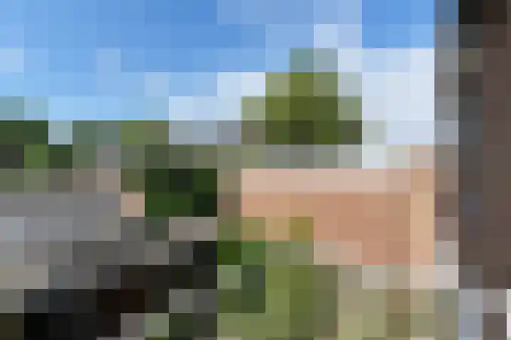 Raadhuislaan 32 Berkel en Rodenrijs thumbnail 31