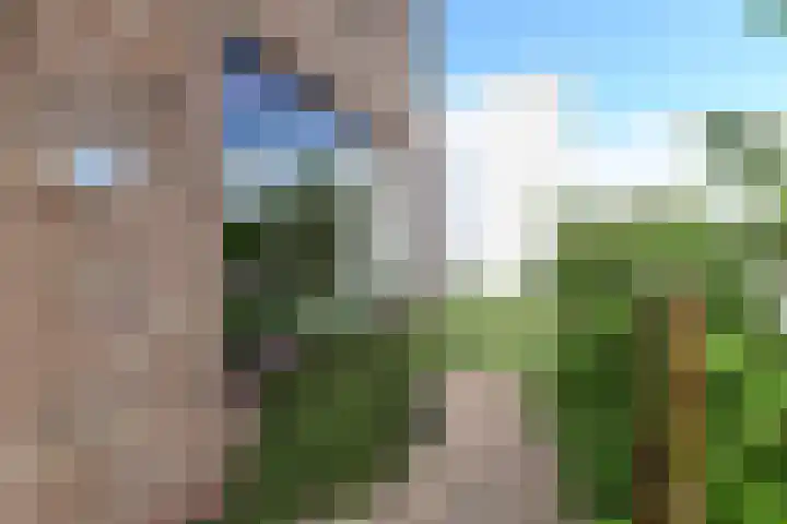Raadhuislaan 32 Berkel en Rodenrijs thumbnail 5
