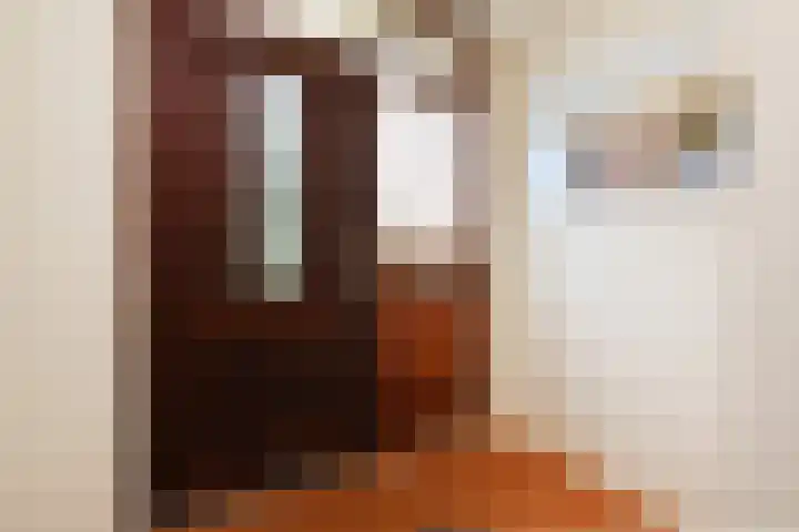 Raadhuislaan 32 Berkel en Rodenrijs thumbnail 9