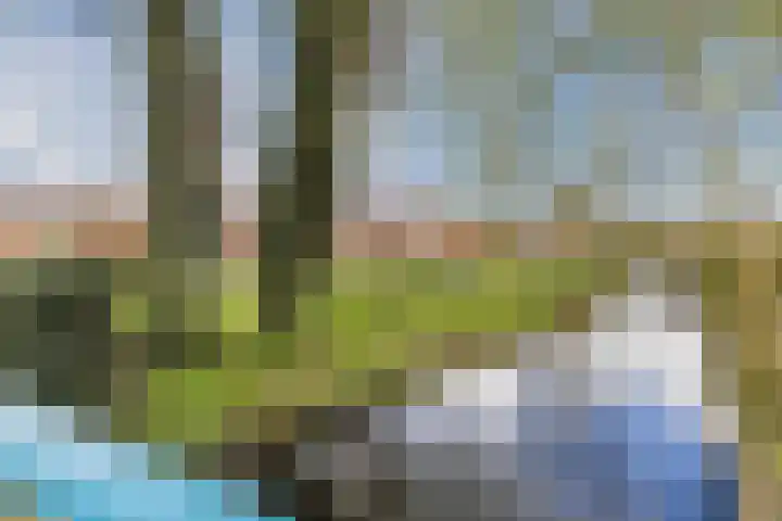 Raadhuislaan 33 Mijdrecht thumbnail 33