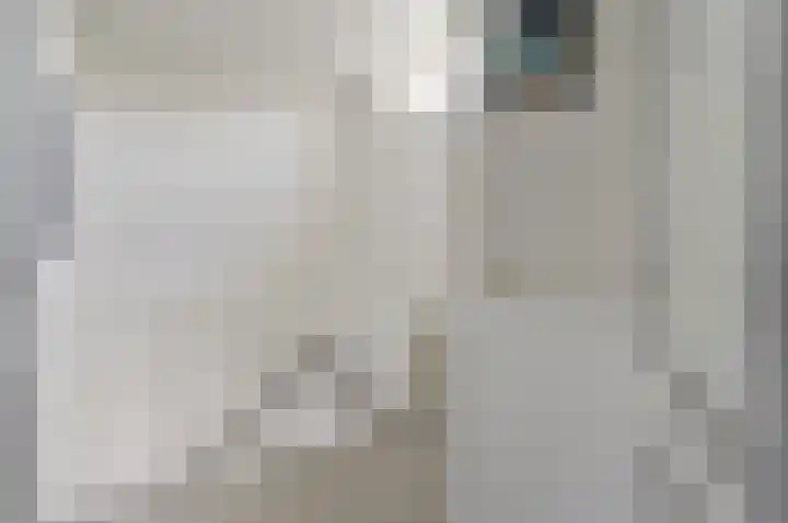 Raadhuislaan 33 Spijkenisse thumbnail 16