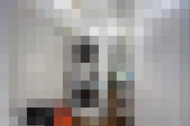 Raadhuislaan 33 Spijkenisse thumbnail 20