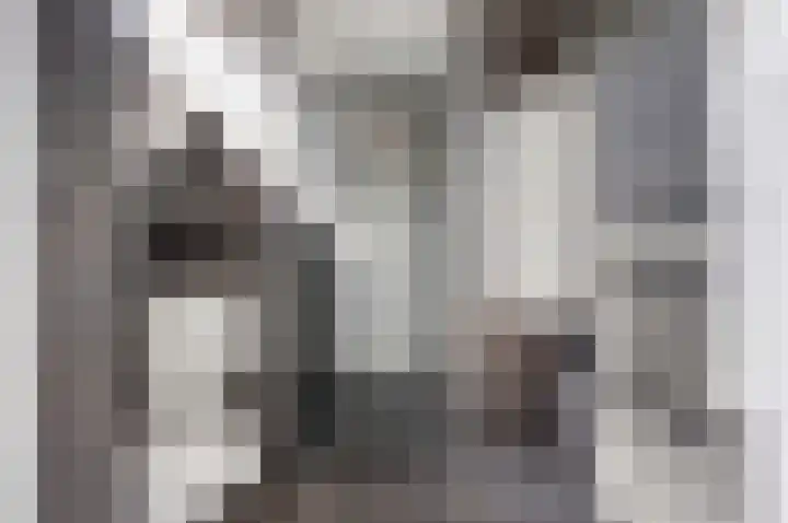 Raadhuislaan 33 Spijkenisse thumbnail 21