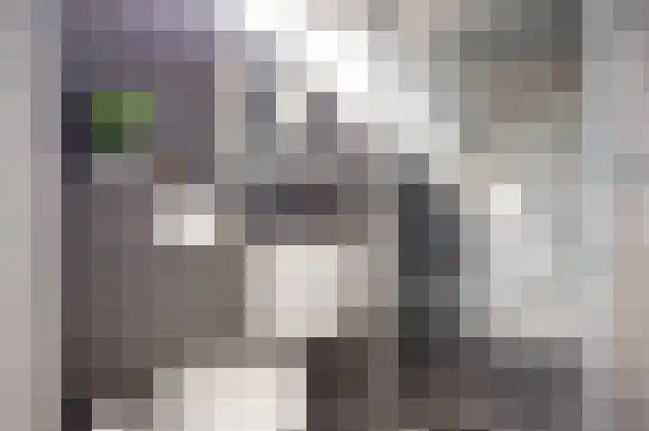 Raadhuislaan 33 Spijkenisse thumbnail 22