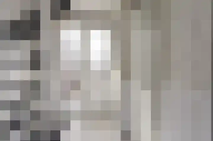 Raadhuislaan 33 Spijkenisse thumbnail 23