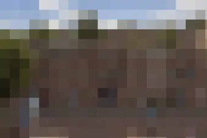 Raadhuislaan 33 Spijkenisse thumbnail 31