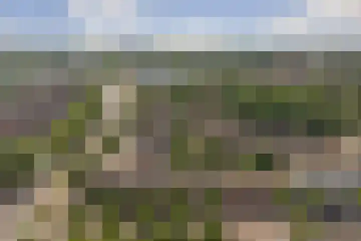 Raadhuislaan 33 Spijkenisse thumbnail 32