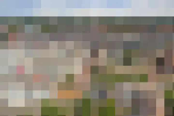 Raadhuislaan 33 Spijkenisse thumbnail 33