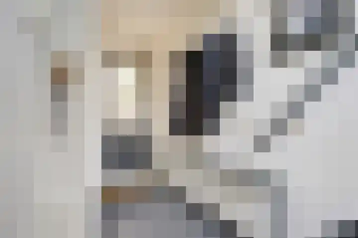 Raadhuislaan 33 Spijkenisse thumbnail 7