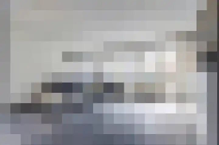 Raadhuislaan 33 Spijkenisse thumbnail 9