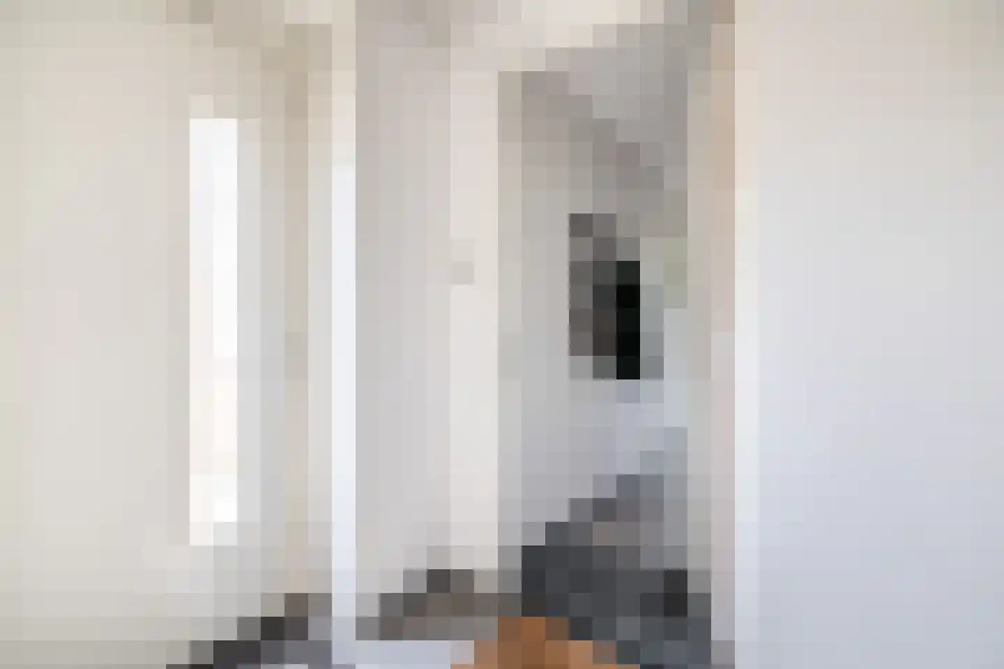 Raadhuislaan 34 c Rockanje thumbnail 14