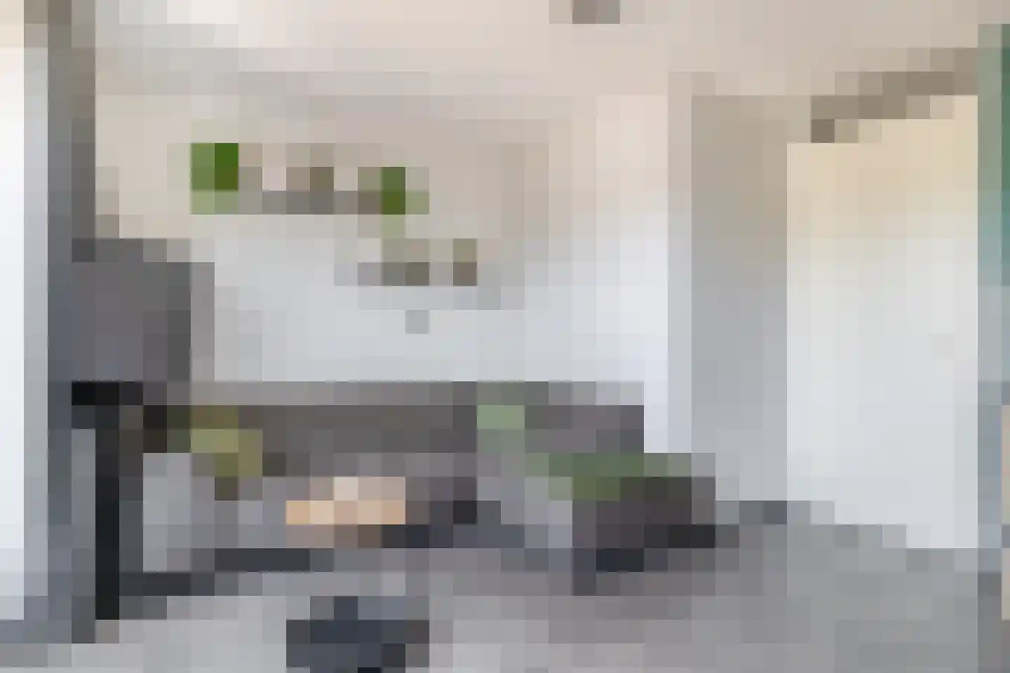 Raadhuislaan 34 c Rockanje thumbnail 17