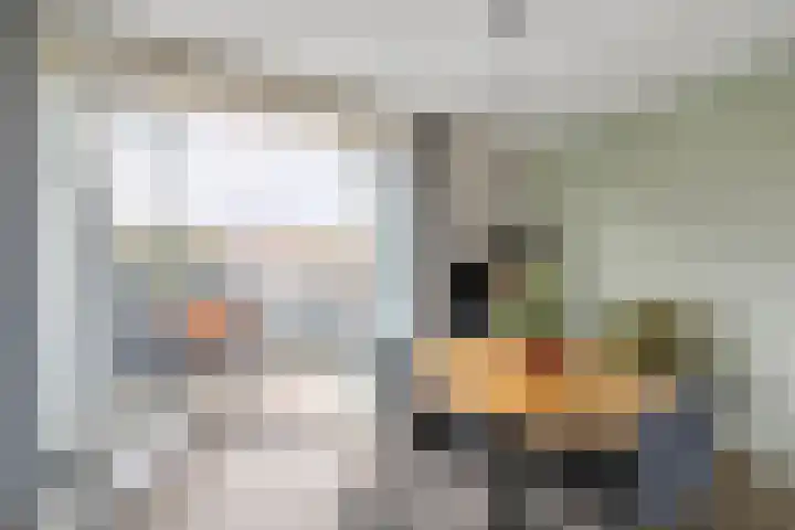 Raadhuislaan 34 d Rockanje thumbnail 13