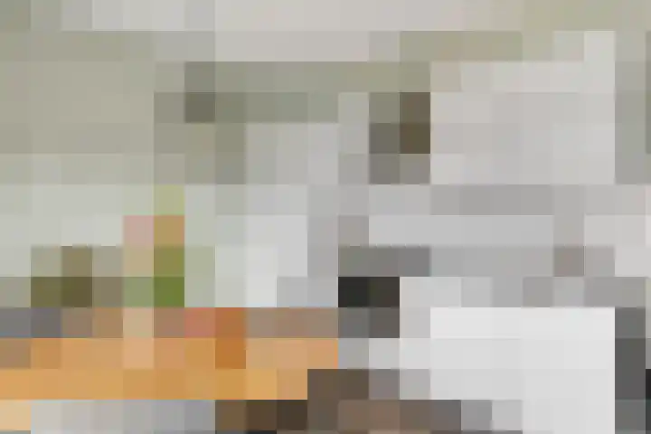 Raadhuislaan 34 d Rockanje thumbnail 14