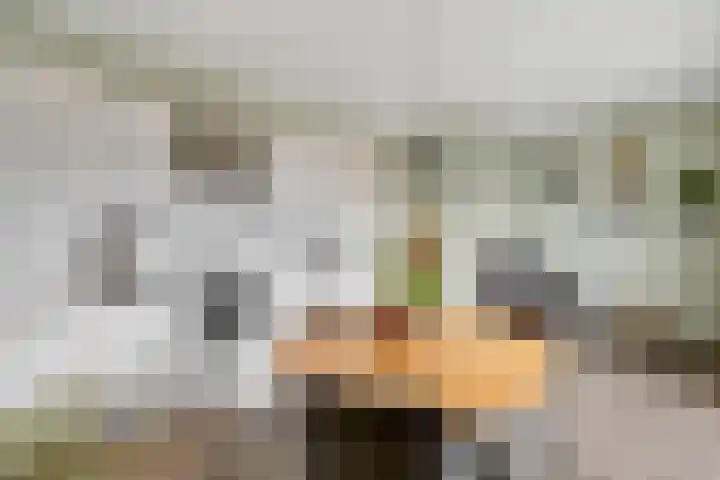 Raadhuislaan 34 d Rockanje thumbnail 15